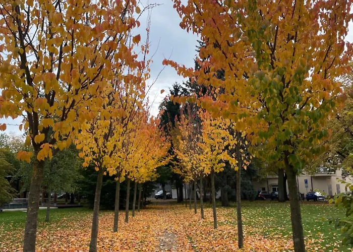 Kralovske Apartma Kolonada Apartman